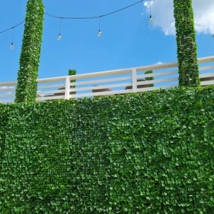 VV 5001 Ivy -"gard viu''artificial,sintetic -role 1.5mx3m - Img 2