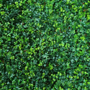 VV 6008 GreenWall Meadow perete verde artificial1x1m - Img 3