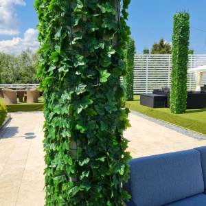 VV 5001 Ivy -"gard viu''artificial,sintetic -role 1.5mx3m - Img 3
