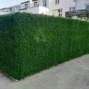 VV 8047 GreenWall Thuja japonez-perete verde artificial 0,5mx0,5m - Img 4