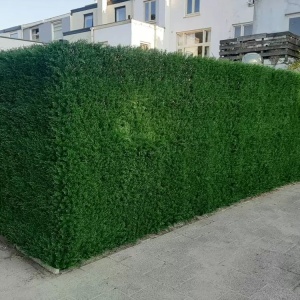 VV 9003 GreenWall Thuja japonez-perete verde artificial 0,5mx0,5m - Img 4