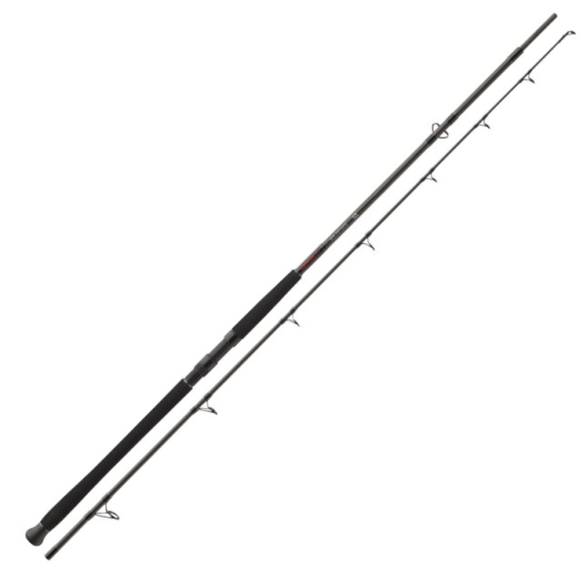 Lanseta Daiwa Exceler Catfish, 2.70m, 200-600g, 2 tronsoane