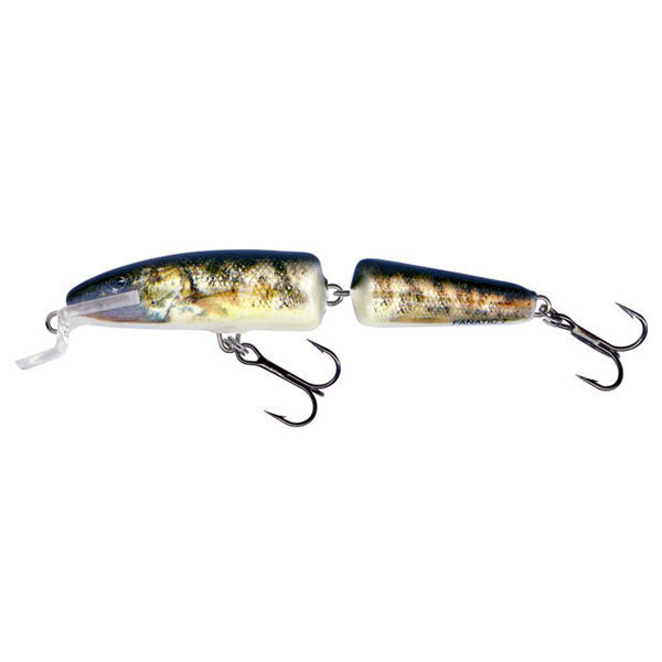 Vobler Salmo Fanatic IF7F RG plutitor 7 cm/5 gr