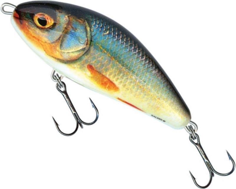 Vobler Salmo Fatso Floating F10F, culoare RR, 10cm, 48g