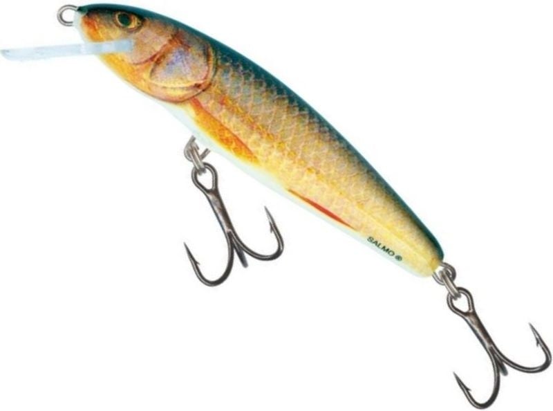 Vobler Salmo Minnow Floating M5F, culoare RR, 5cm, 3g