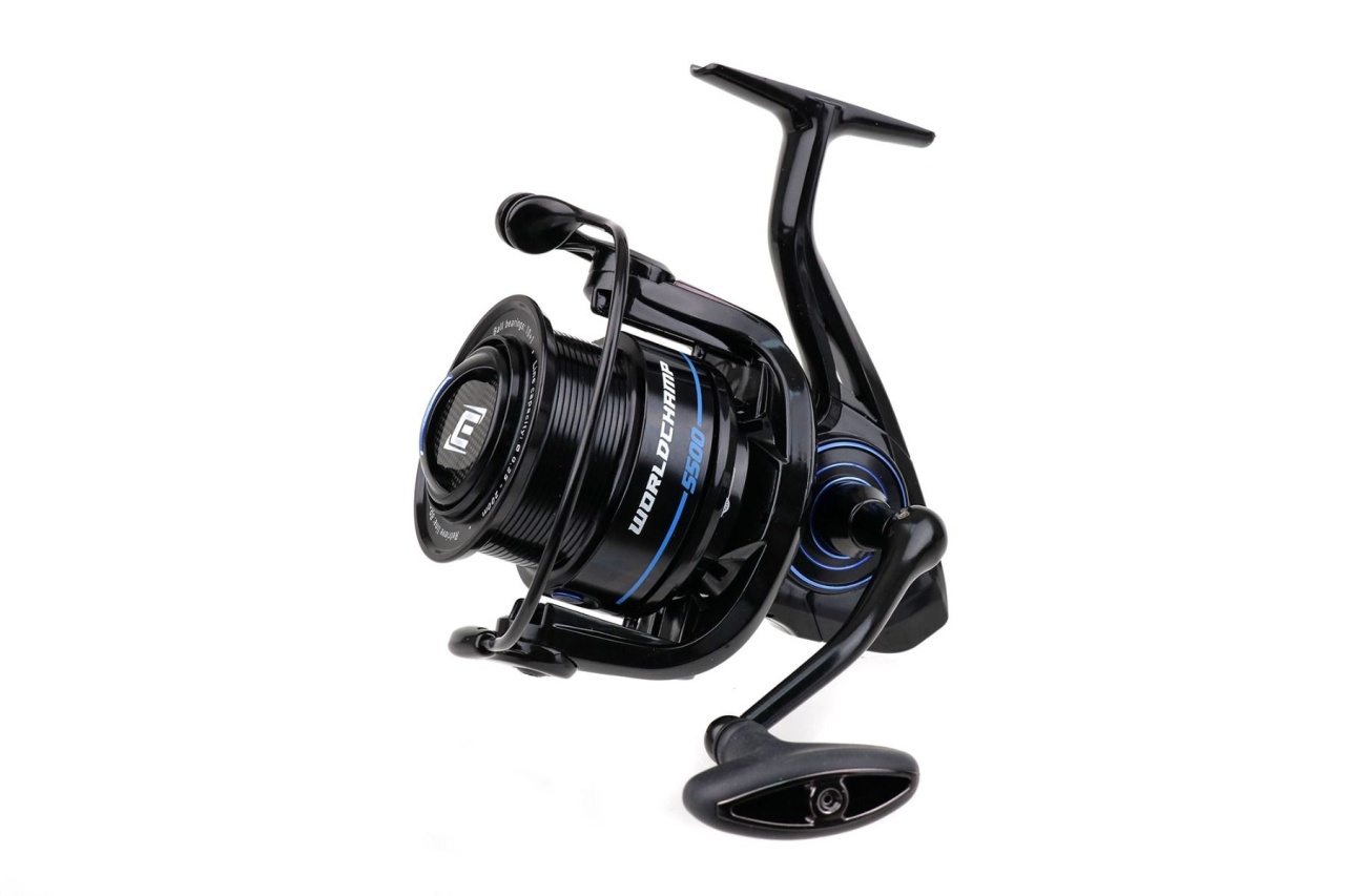 Mulineta Formax Elegance Feeder Pro Worldchamp (Marime Tambur: 5500) - 2 | YEO