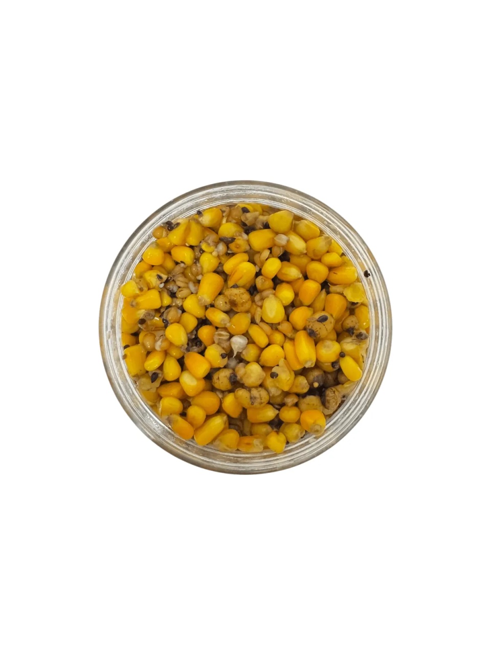 Amestec de porumb cu cu alune tigrate si seminte, 2kg (Aroma: Rocket) - 1 | YEO