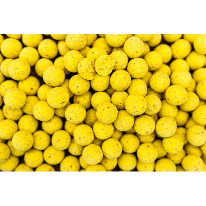 Boilies Pro Line Scopex N\'Butyric, 5kg (Marime: 20 mm)