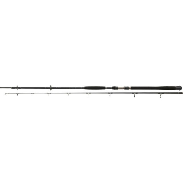 Lanseta Exceler Catfish Spin 2,40M/-185G / 2 tronsoane Daiwa