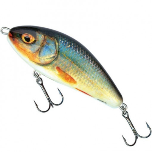 Vobler Salmo Fatso Sinking F10S, culoare RR, 10cm, 52g