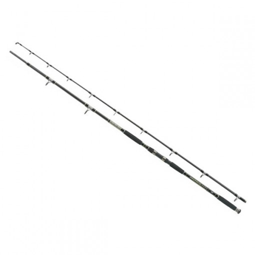 Lanseta Antris HTI Catfish HD, 3m/ 400g/ 2tronsoane Jaxon