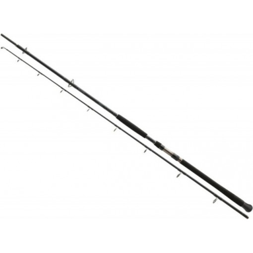 Lanseta Daiwa Exceler Catfish Spin 2.70m, 185g, 2 tronsoane