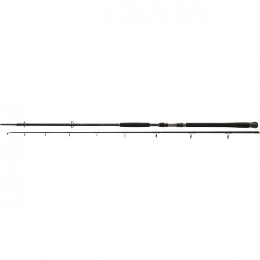 Lanseta Exceler Catfish Spin 2,40M/-185G / 2 tronsoane Daiwa