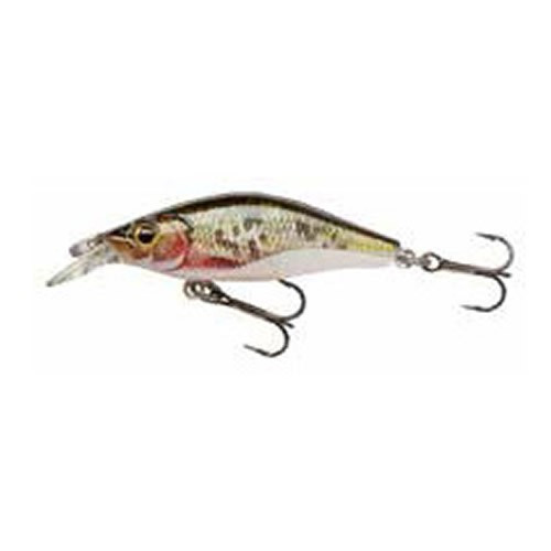 Vobler Shallow Baby Shad R. Dying Roach 4cm/ 2.5g Cormoran