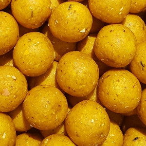 Boilies Pro Line Scopex N'Butyric, 5kg - Img 2
