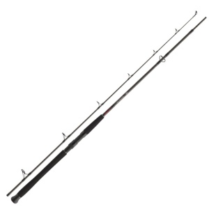 Lanseta Daiwa Exceler Catfish Spin, 2.40m, 135g, 2 tronsoane
