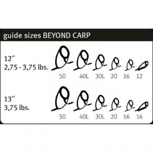 Lanseta Sportex Beyond Carp, 3.96m, 3.75lbs, 2 tronsoane