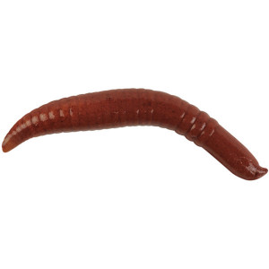 Momeala artificiala Berkley Gulp Nighcrawler, 3cm,14buc