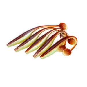 Shad Fast Strike Huky Kuky, Gost Shad, 13.5cm, 8.4g, 5buc/blister - Img 3