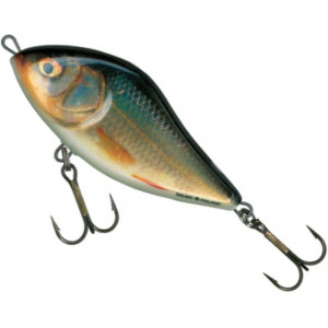 Vobler Salmo Slider Floating SD5F, culoare RR, 5cm, 6.5g