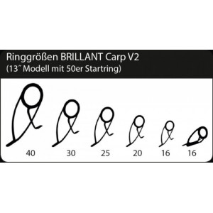 Lanseta Brilliant Carp V2 3.96m /3.50 lbs / 2 tronsoane Sportex - Img 3
