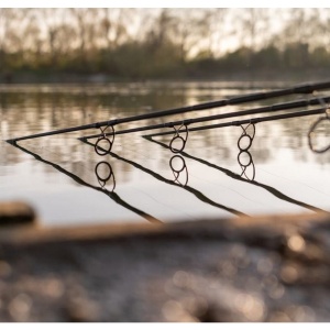 Lanseta Daiwa D-Carp, 3.90m, 3.5lbs, 2 tronsoane - Img 2