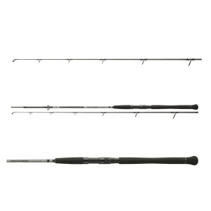 Lansetă DAIWA Powermesh Catfish Spin 2,40m, până la 135g, 2 tronsoane