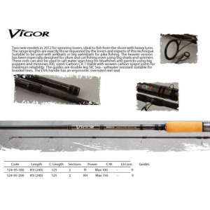 Lanseta Vigor 2.40m/ 100g/ 2tronsoane Rapture - Img 7