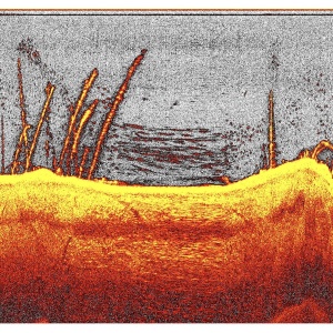 Modul Deeper DownScan Undervision pentru Navomodel Deeper QUEST - Img 6