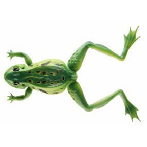 Naluca Soft Frog Verde 12cm/16g Cormoran