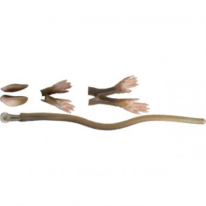 Vobler 3D  Rad 20cm / 32g Savage Gear - Img 2