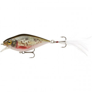 Vobler Dying Roach 8cm/38g Cormoran