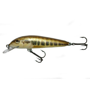 Vobler Salmo Minnow M6F M plutitor 6 cm/4 gr