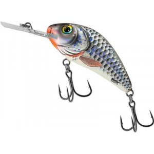 Vobler Salmo Rattlin Hornet H6.5F, culoare SHS, 6.5cm, 20g