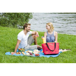 Geanta termoizolanta Campingaz Shopping 15l - 2000013686 - Img 4