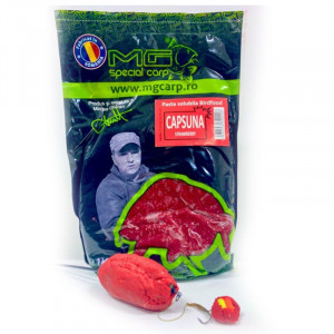 Pasta Solubila MG Carp Birdfood, 1kg