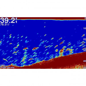 Sonar Ecomap Plus 62CV WW GT20 XDCR Garmin - Img 8