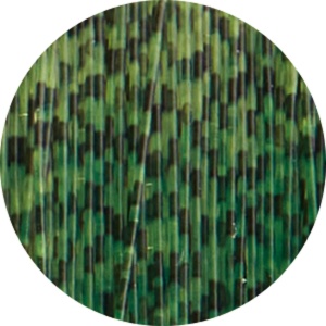 Fir Monofilament Jaxon Feeder Fanatics 3D, 150m - Img 2