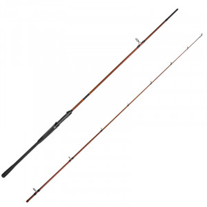 Lanseta Delphin Exploza Hard, 2.70m, 70g, 2 tronsoane
