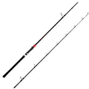 Lanseta Delphin Rivera NX, 2.60m, 150g, 2 tronsoane - Img 1