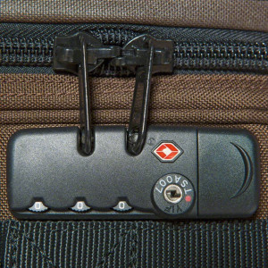 Troller pentru expeditii de vanatoare 86x38x40cm Blaser - Img 4