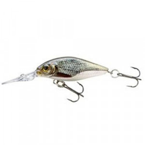 Vobler Belly Diver Mini Roach New 3,8cm / 3g Cormoran