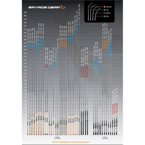Lanseta Spinning Custom Coastal 2.74m/2-12g 2 trons. Savage Gear - Img 3