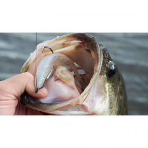 Shad Jackall Rhythm Wave, Chartreuse, 9.6 cm, 7 buc - Img 2