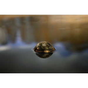 Sonar Smart Deeper Chirp+ 4.0 cu AI integrat - Img 8