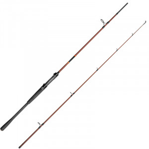 Lanseta Delphin Exploza Hard, 2.10m, 60g, 2 tronsoane