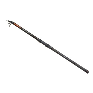 Lanseta telescopica Carp Expert Silver Carp Power, 50-150g