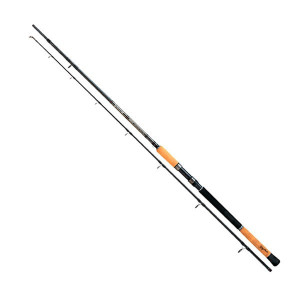 Lanseta Vigor 2.40m/ 100g/ 2tronsoane Rapture