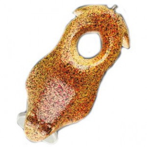Vobler Hard Frog HF04 6cm/ 11g Nomura - Img 2