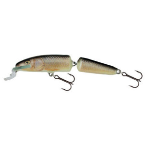 Vobler Salmo Fanatic IF7F RR plutitor 7 cm/5 gr